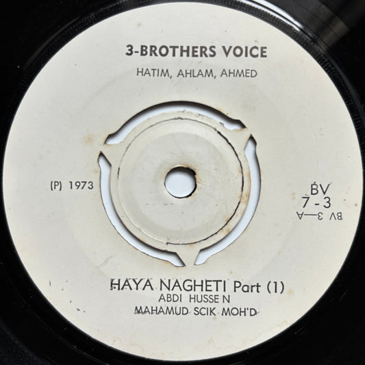 Mohamod Shek Mahmud 'Haya Nagheti'