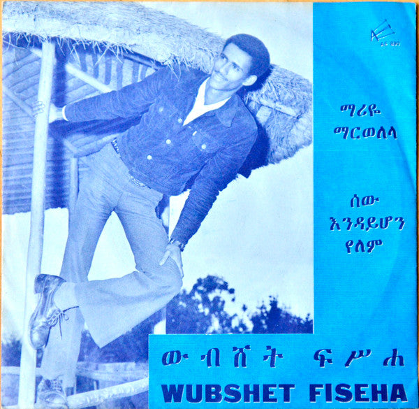 Wubeshet Fiseha AE 890